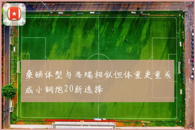 桑顿体型与洛瑞相似但体重更重或成小钢炮20新选择