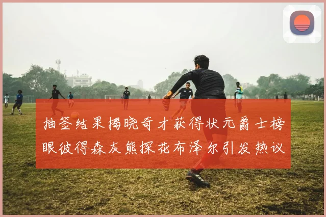 抽签结果揭晓奇才获得状元爵士榜眼彼得森灰熊探花布泽尔引发热议